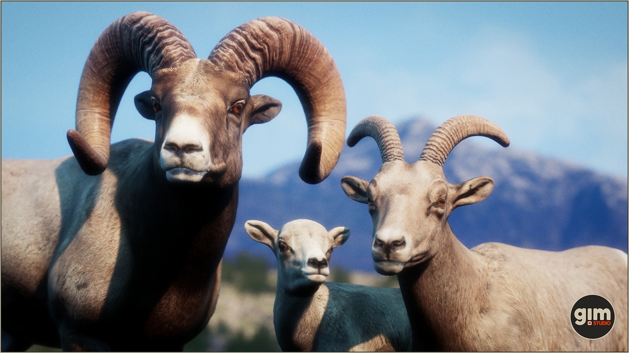 Media 1 for listing Animalia - Bighorn Sheep (pack)