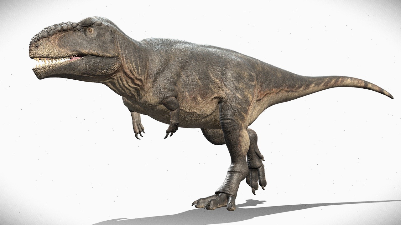 Media 1 for listing Giganotosaurus Rig