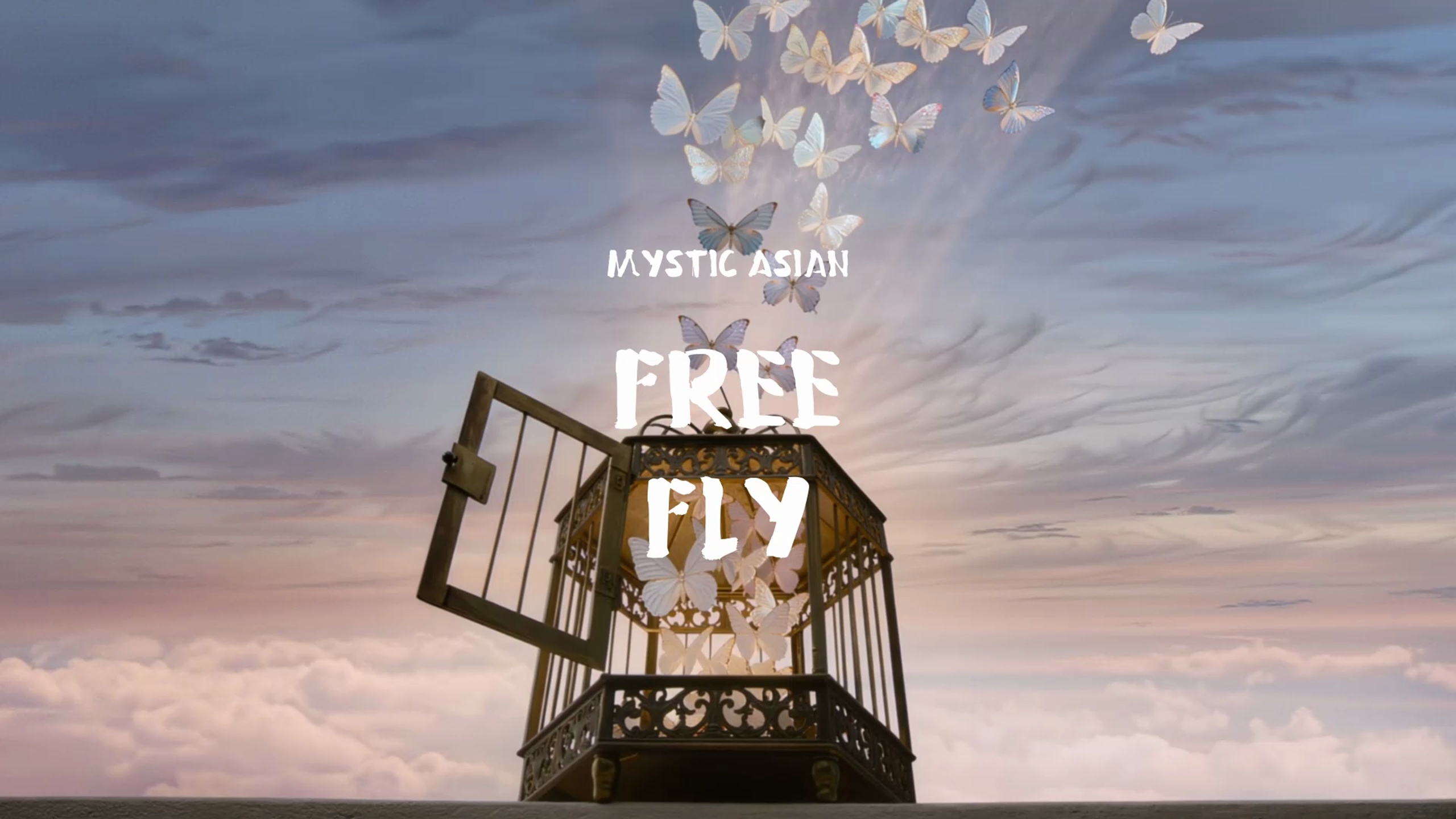 Media 1 for listing Free Fly / Mystic Asian