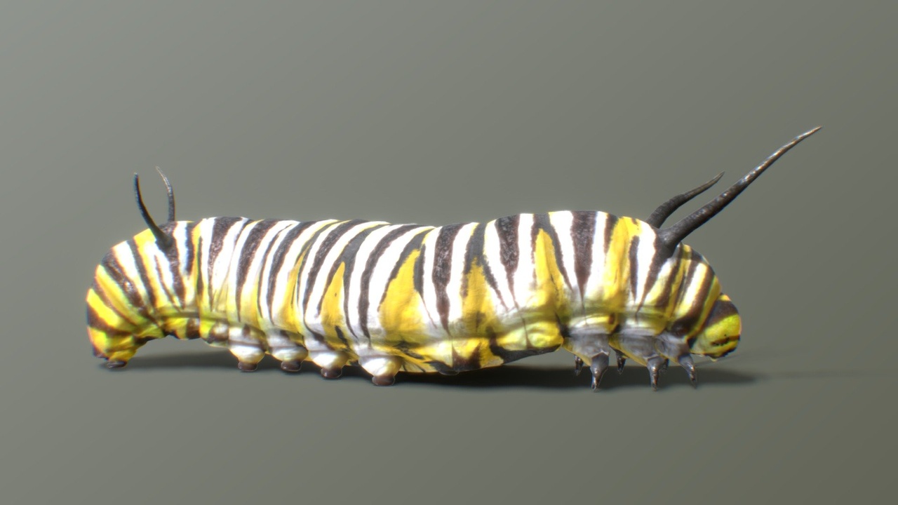 Monarch Butterfly Caterpillar 제품 등록을 위한 미디어 1개