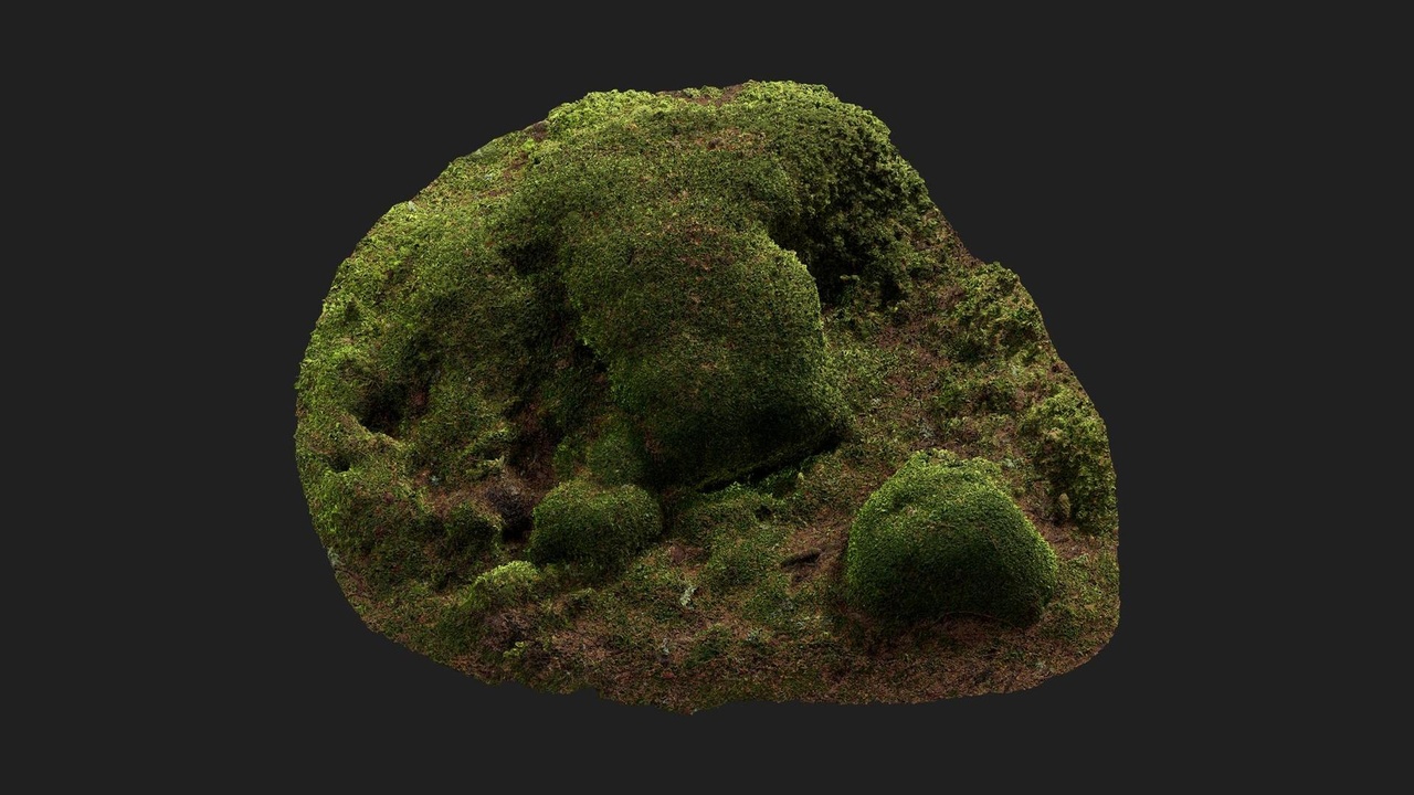 商品 Mossy Mounds 的媒体 1
