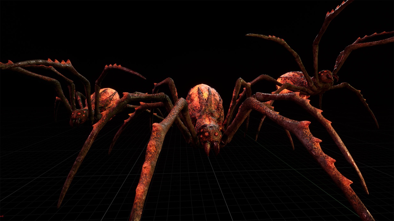 Media 1 for listing Hell spider