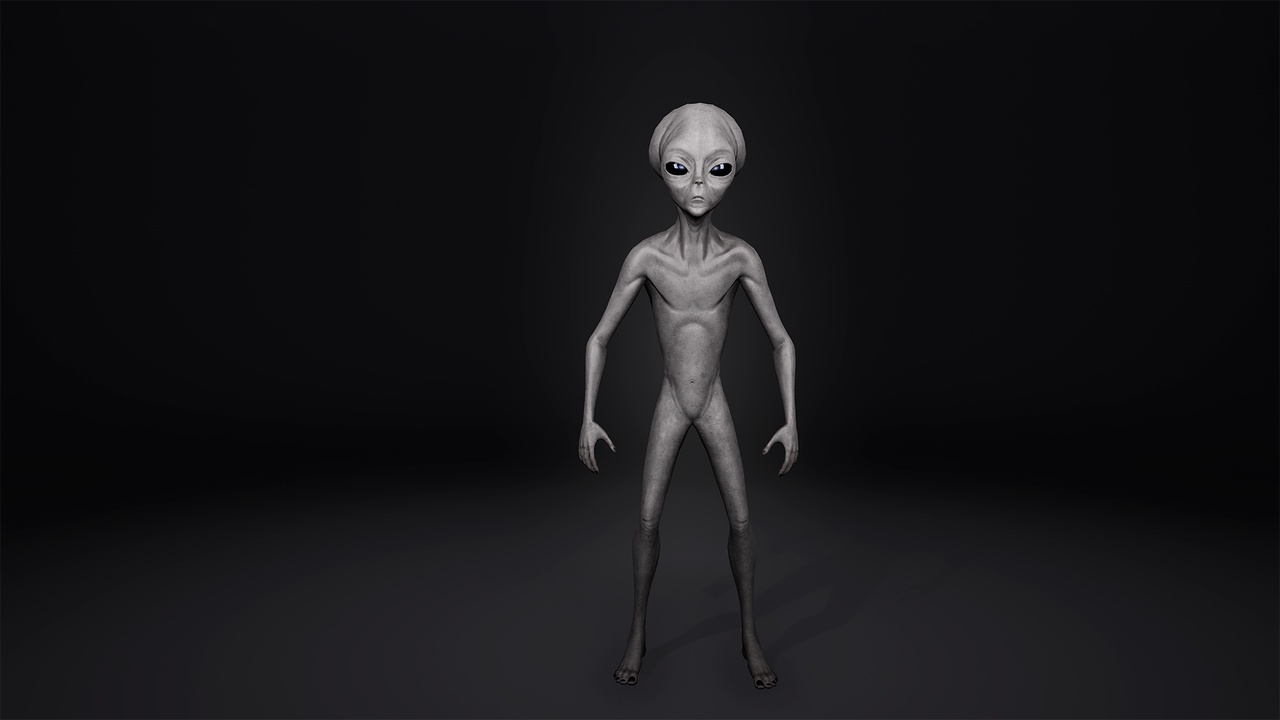 Media 1 for listing Grey Alien 3