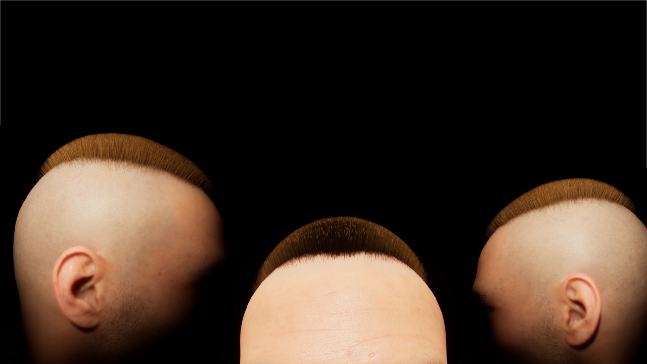 Media 1 for listing Metahuman Hair Groom: High and Tight