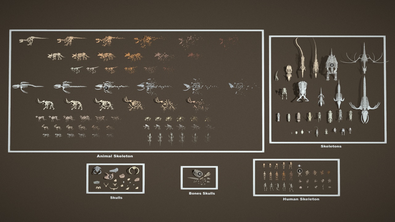 Media 1 for listing Skeleton Props Collection