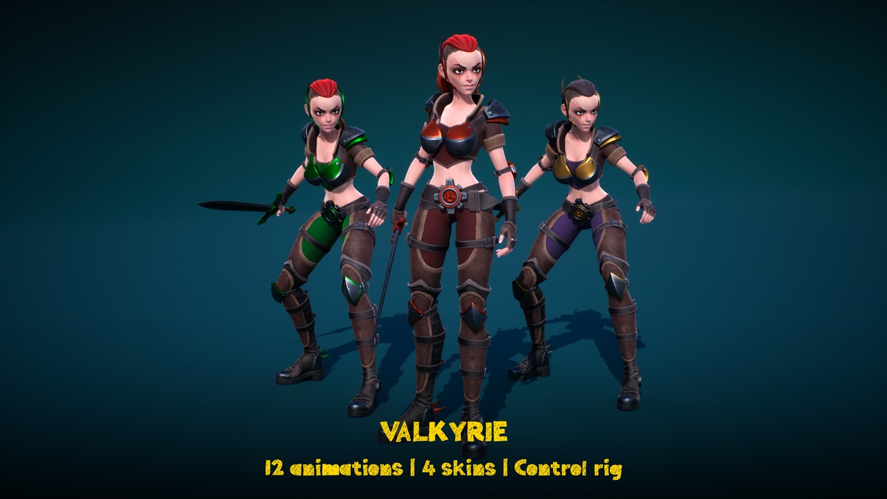 Media 1 for listing Valkyrie