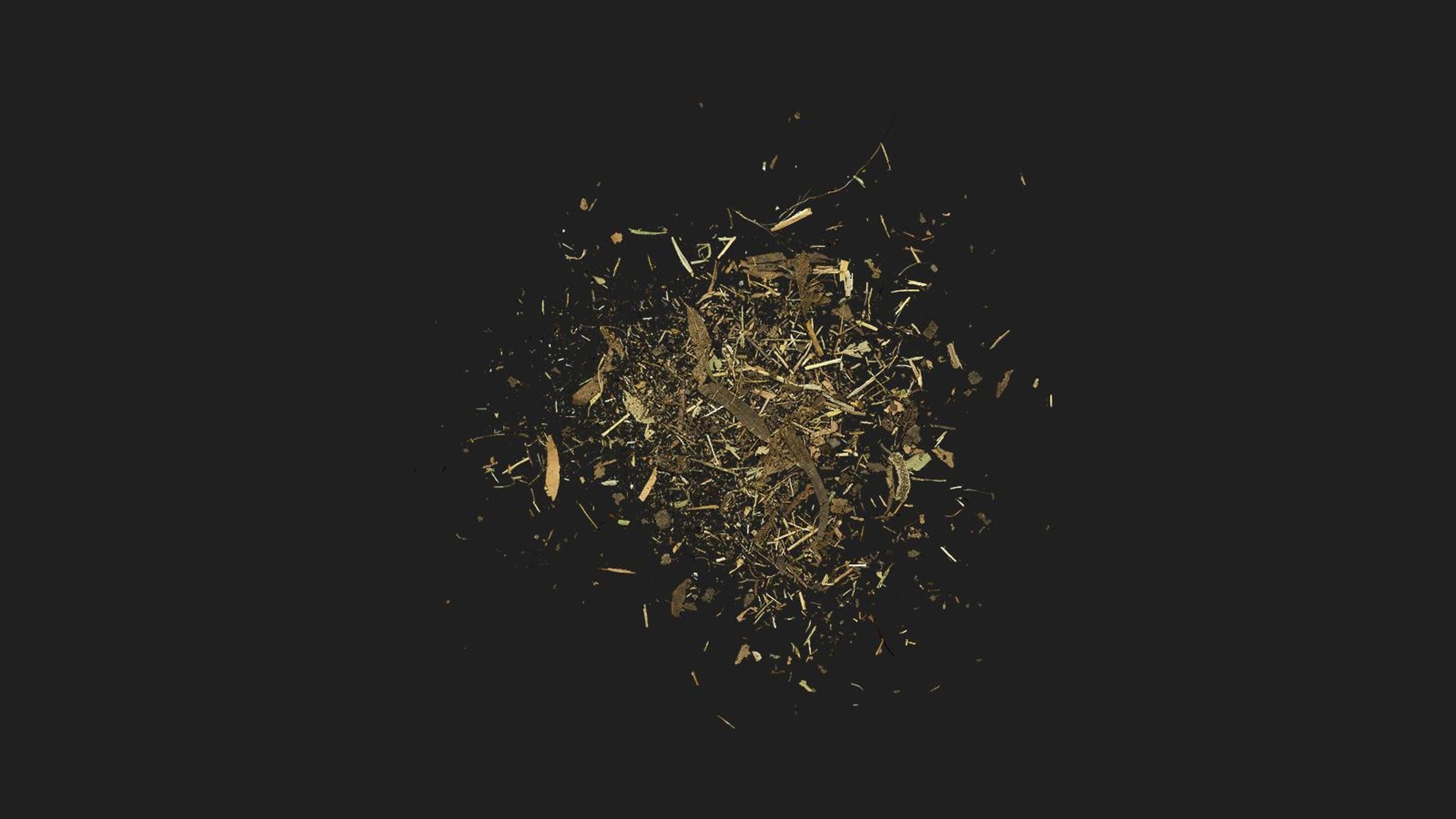 Media 1 for listing Debris