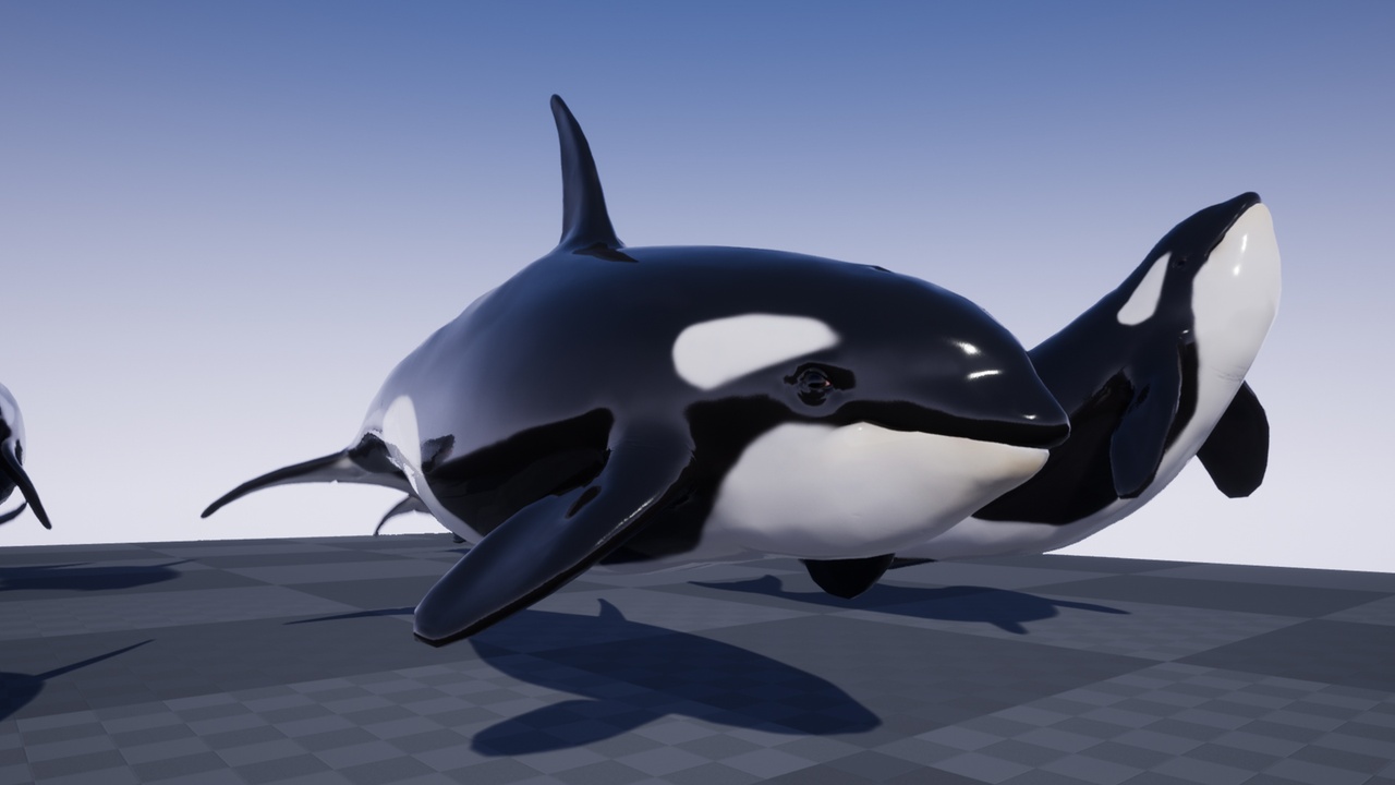 Media 1 for listing OCEAN LIFE: ORCA