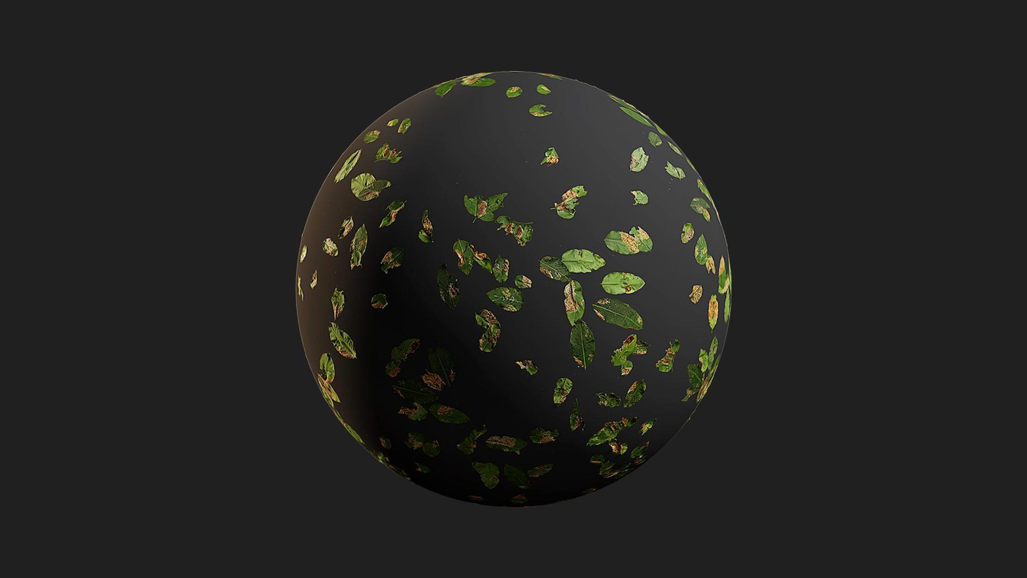 Unique Scatters Exotic Leaf Scatter | Fab