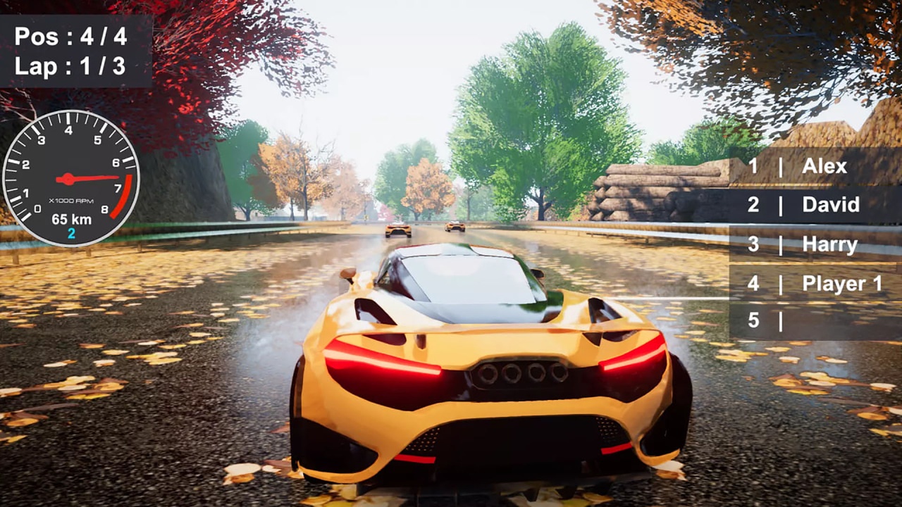 Media 1 for listing Racing Game Fall