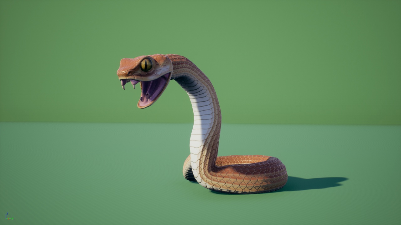 Media 1 for listing Snake