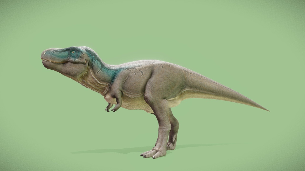 Media 1 for listing Tyrannosaurus Rex (Male version)