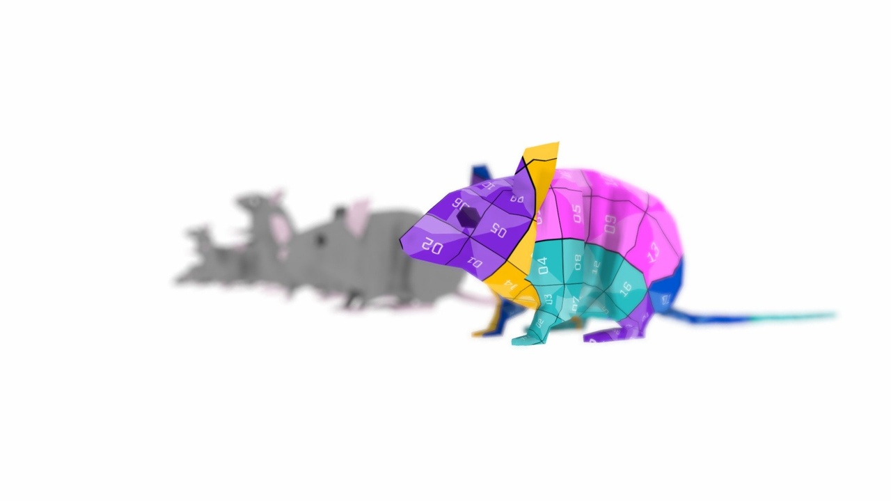 Low Poly Mouse - Free Demo | Fab