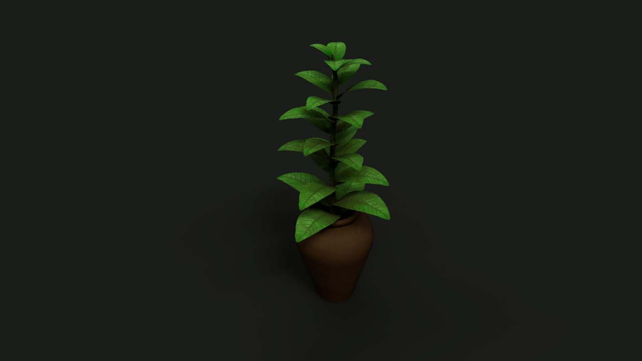 Media 1 for listing Foliage Plant