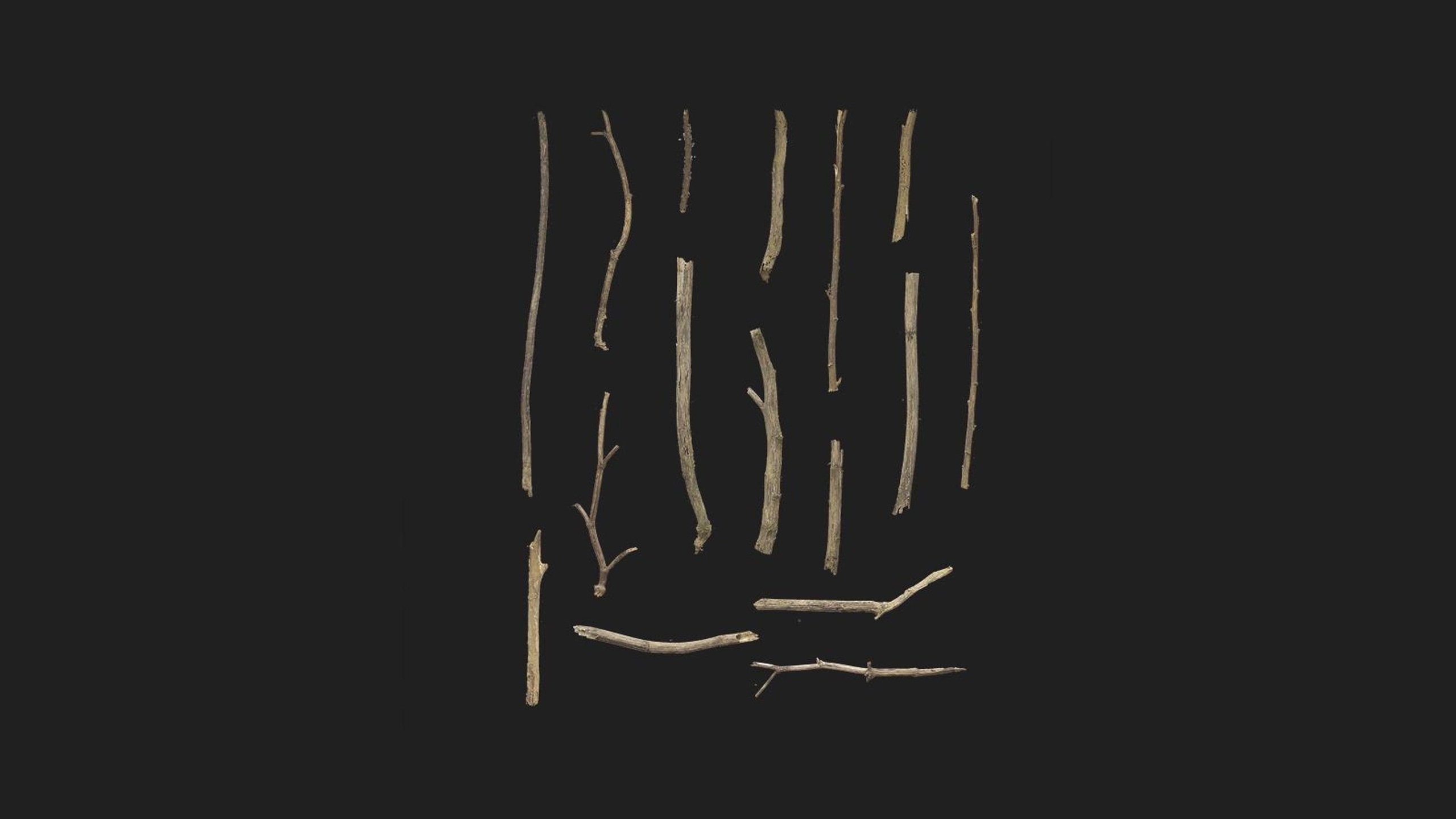 Media 1 for listing Sticks and Twigs