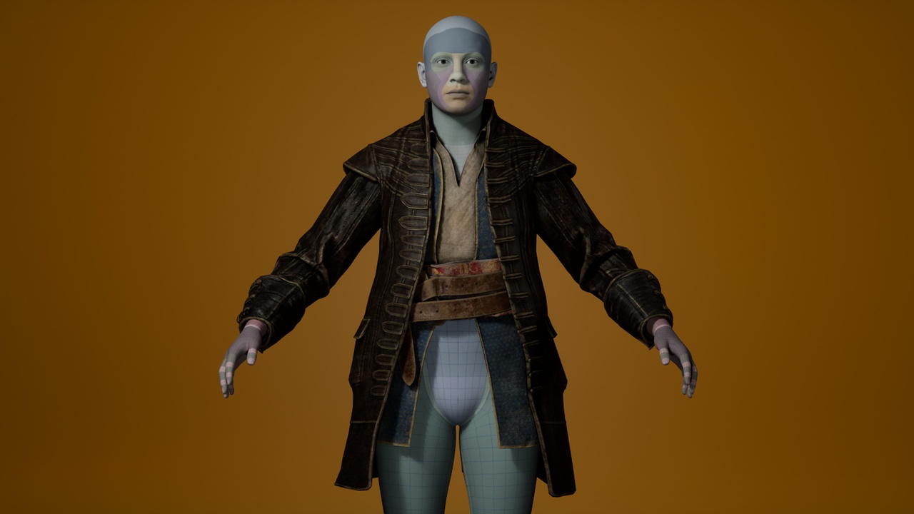 Media 1 for listing Pirate Coat (Var. 1) - Metahuman