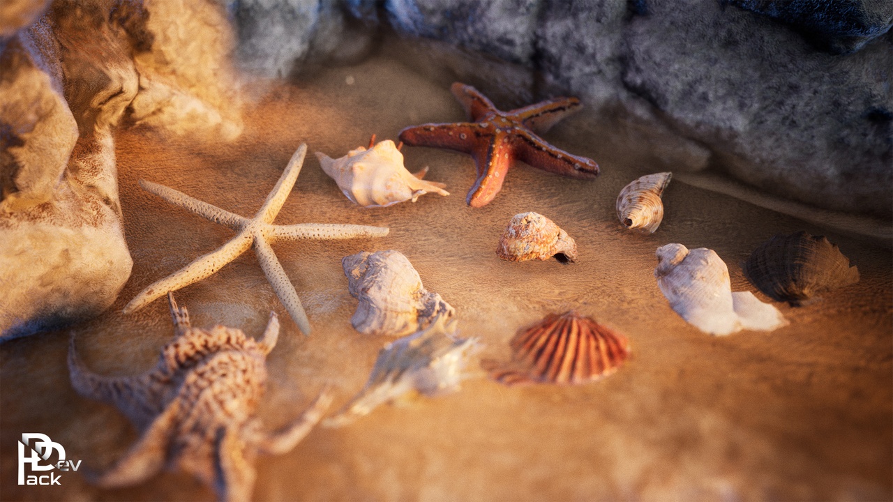 Media 1 for listing Sea Shells / 24 Assets