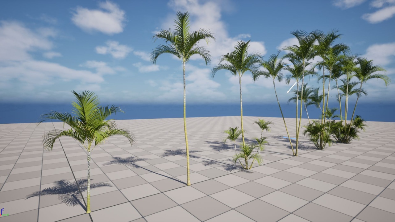 Dypsis lutescens (Areca palm) Pack ilanı için 1. medya