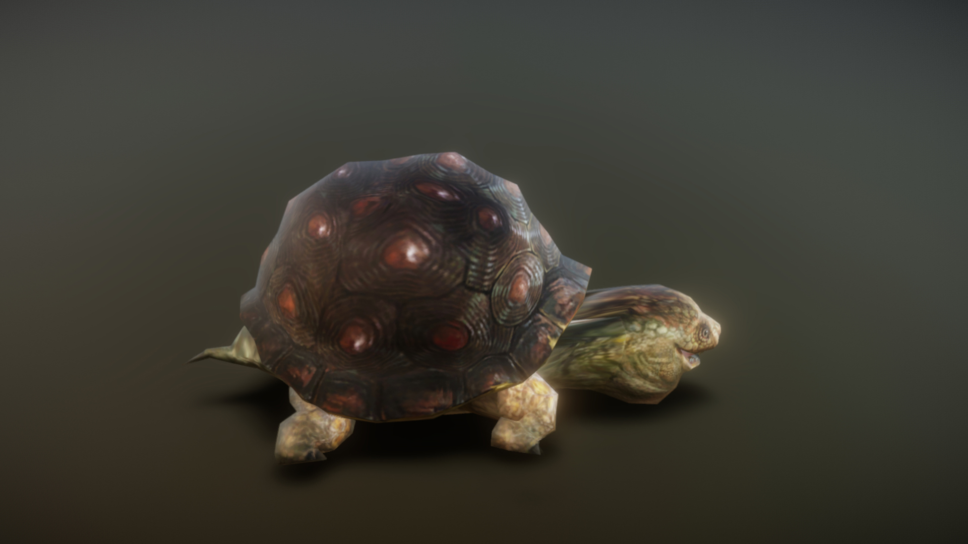 Turtle animation C51 | Fab