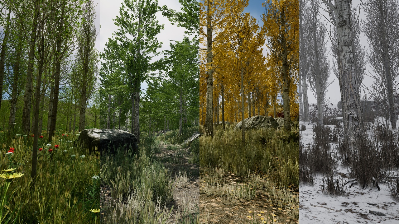 Media 1 for listing Scanned Poplar and Aspen Forest with Seasons