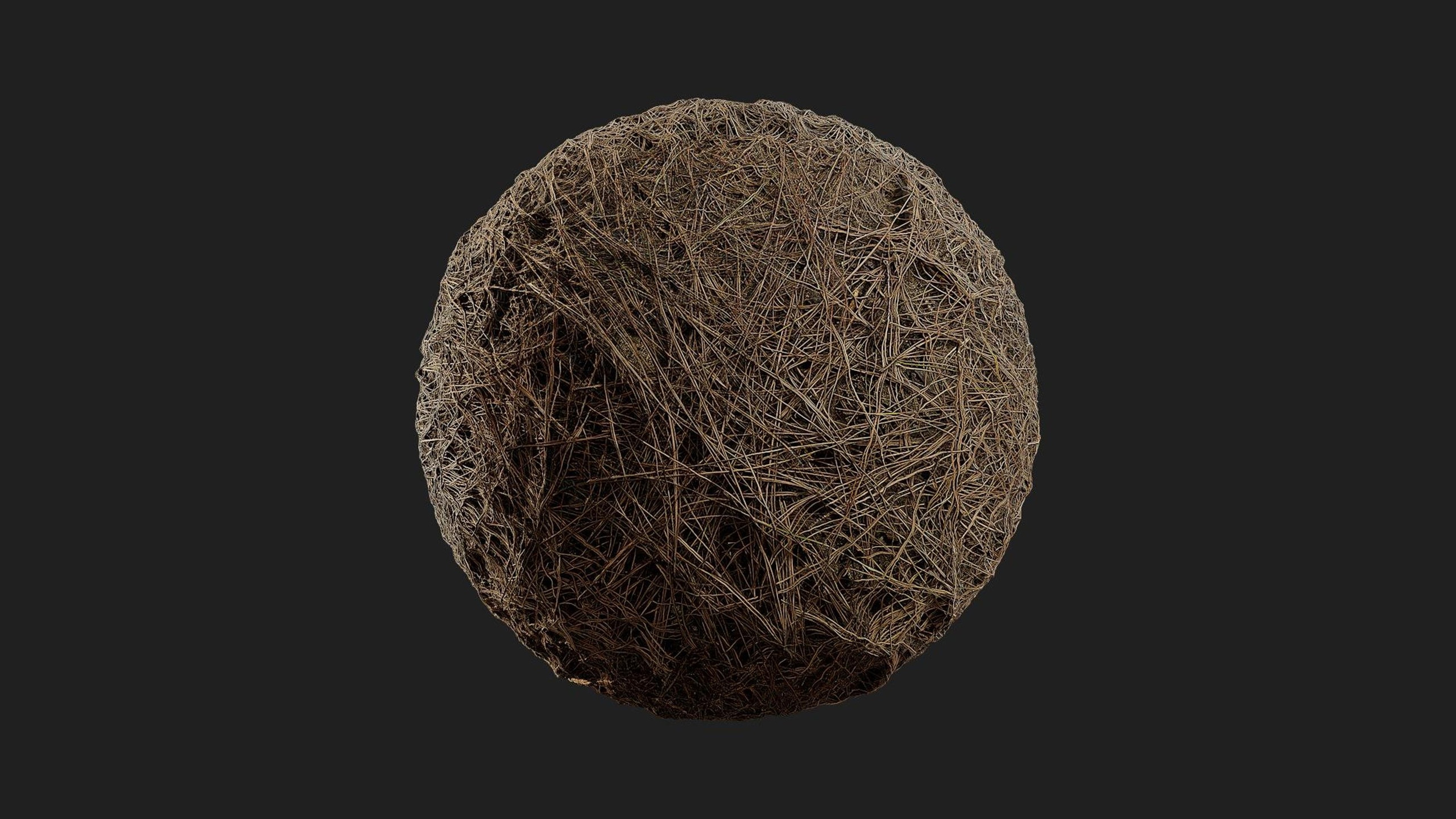Medios 1 para el artículo Dried Pine Needles