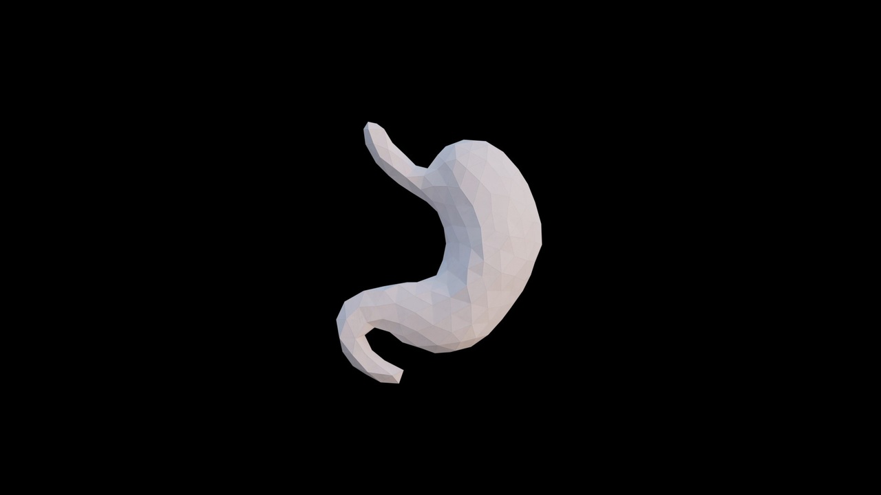 Media 1 for listing Origami human stomach made out of triangles. Unfolding growing animation.