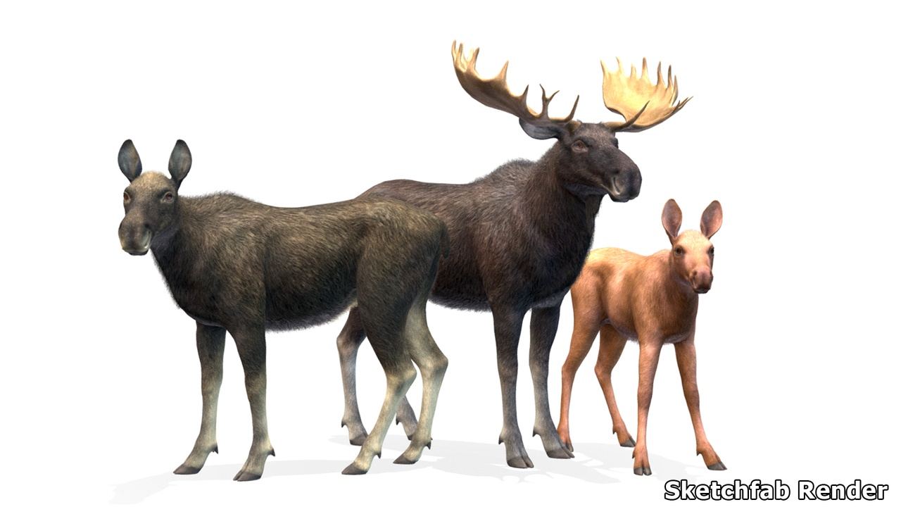 Moose Family 제품 등록을 위한 미디어 1개