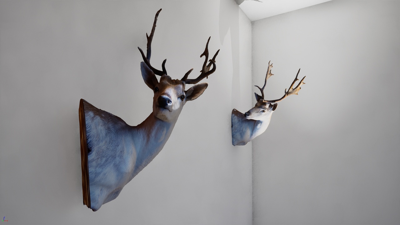 Media 1 for listing Fallow_Deer_Mount