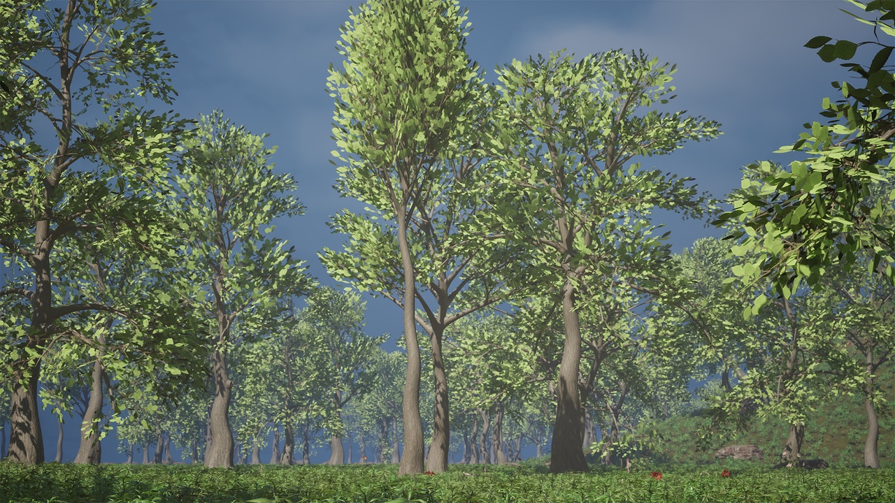 Media 1 for listing Realistic Low Poly Tree Pack 62M