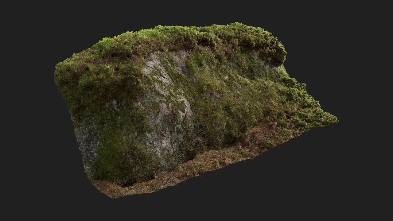 商品 Nordic Forest Ledge Rock Large 的媒体 1