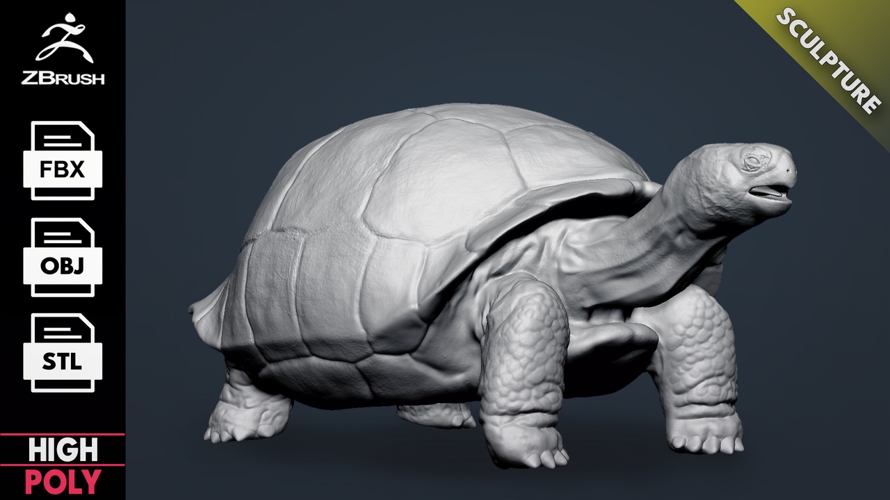 商品 Galapagos Tortoise Sculpt 的媒体 1