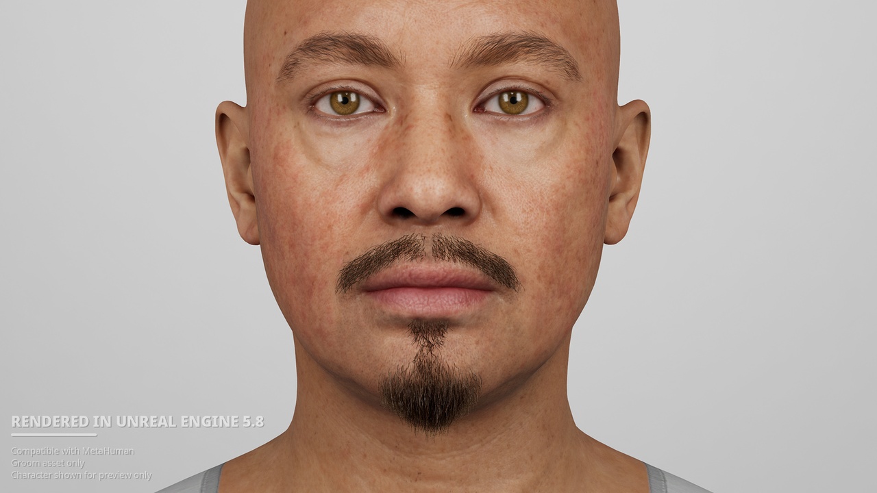 Media 1 for listing Natural Van Dyke Goatee – Modular MetaHuman Groom