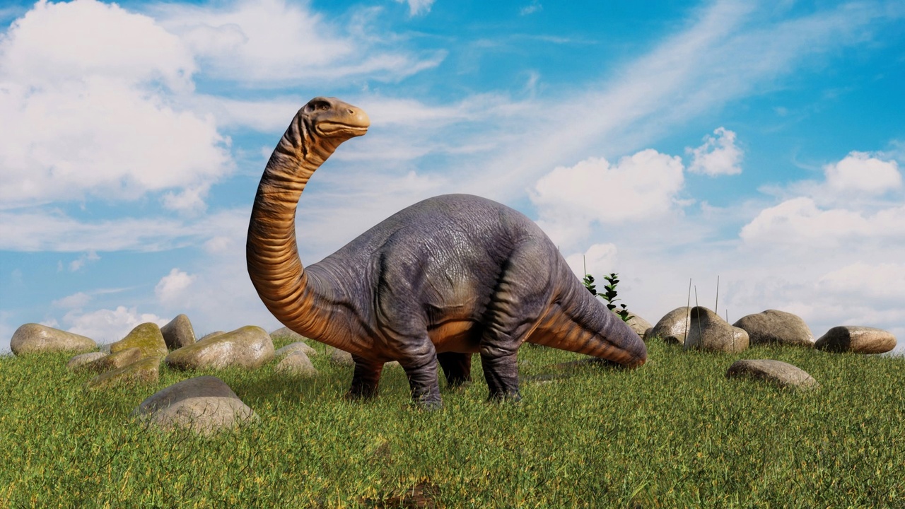 Realistic Brontosaurus Rip Realistic Brontosaurus Dinosaur | Fab