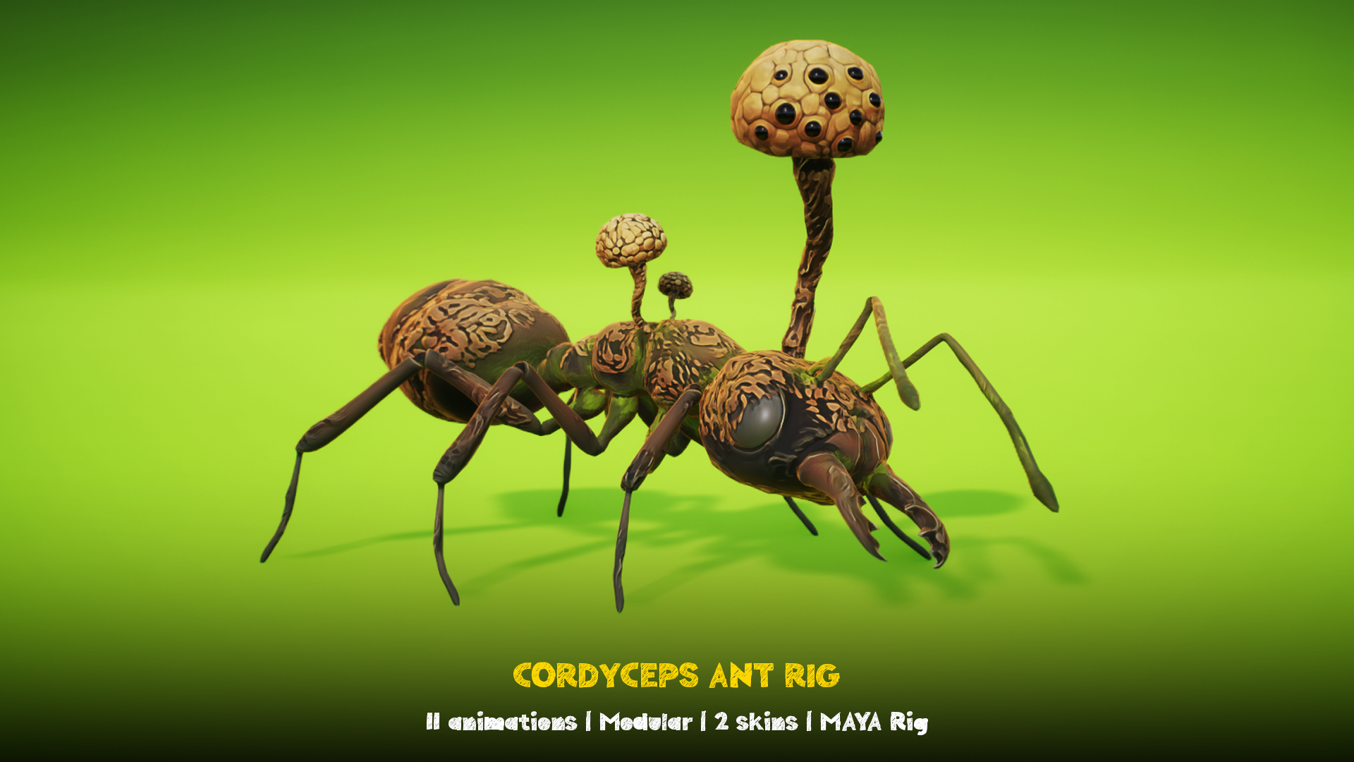 Cordyceps Ant MAYA RIG | Fab