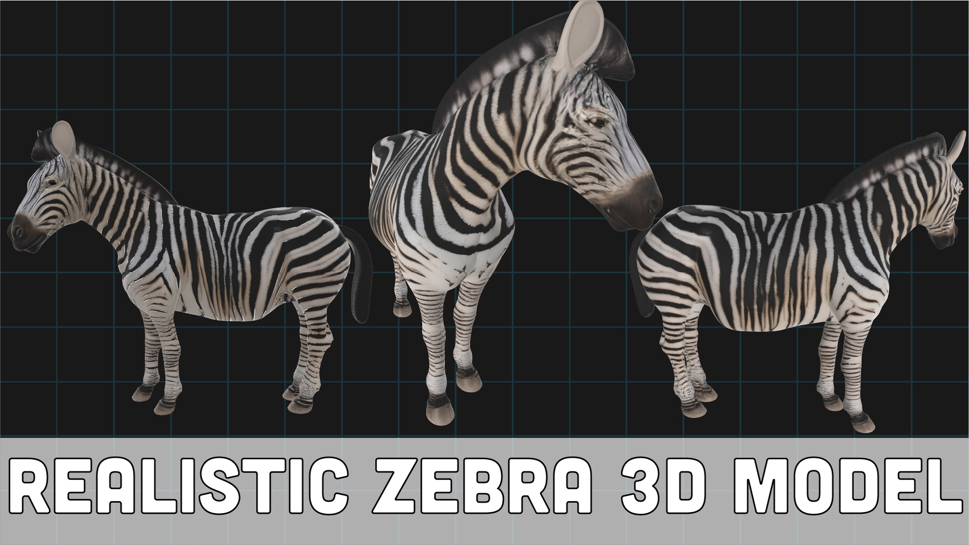 Realistic Zebra 3D Model – African Wildlife Animal | Fab