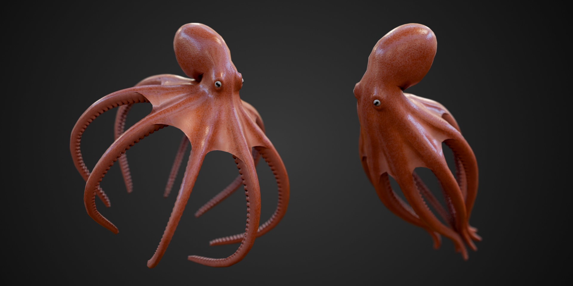 Media 1 for listing Animated octopus