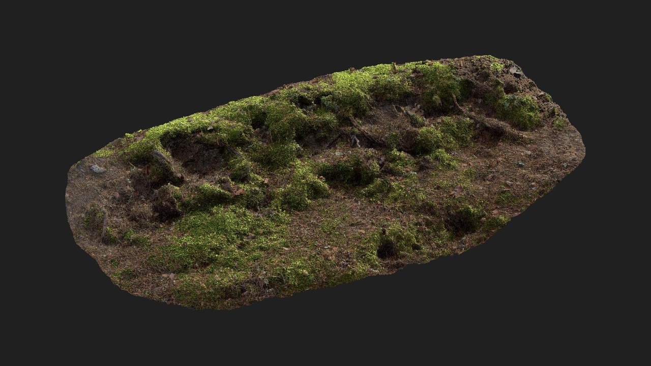 商品 Mossy Embankment 的媒体 1