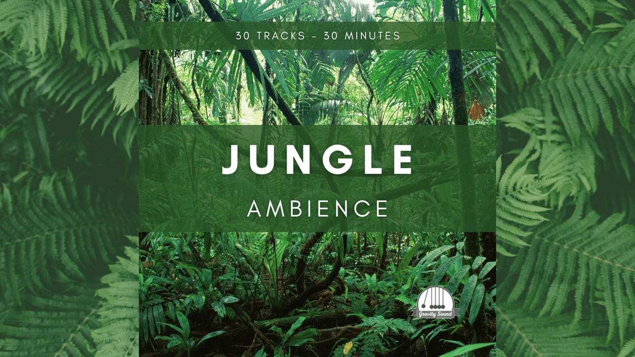 Media 1 for listing Jungle Ambience