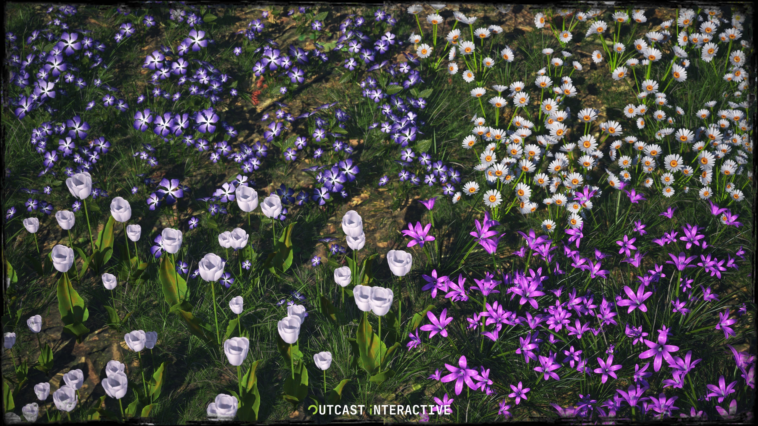 Media 1 for listing Foliage - Flowers And Grass 02