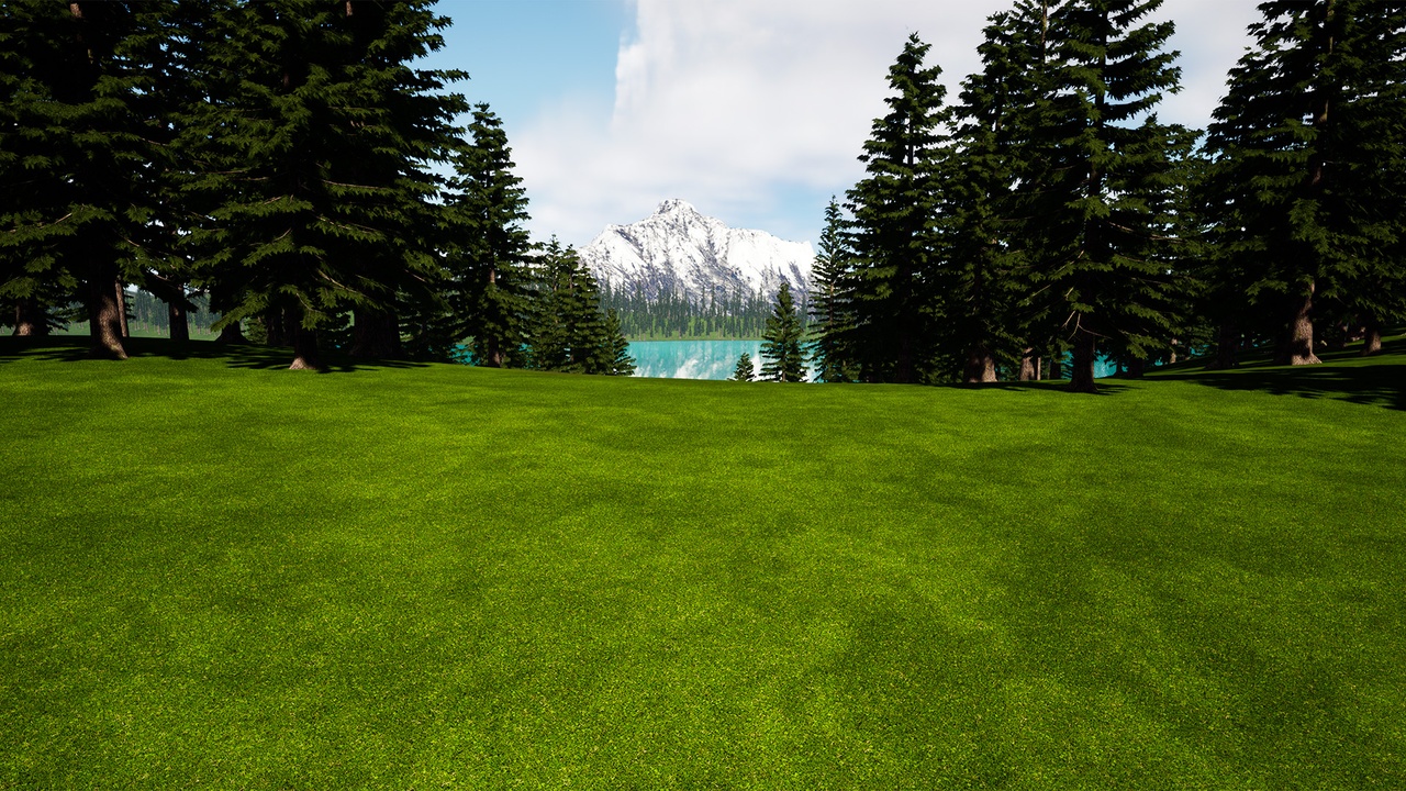 Medium 1 für Eintrag Grass Fields Materials