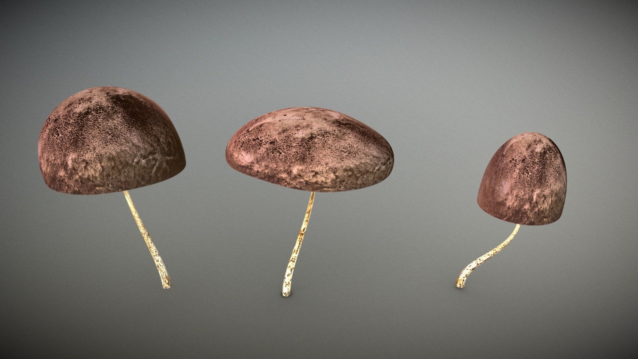 3 Realistic Mushroom Pack 제품 등록을 위한 미디어 1개