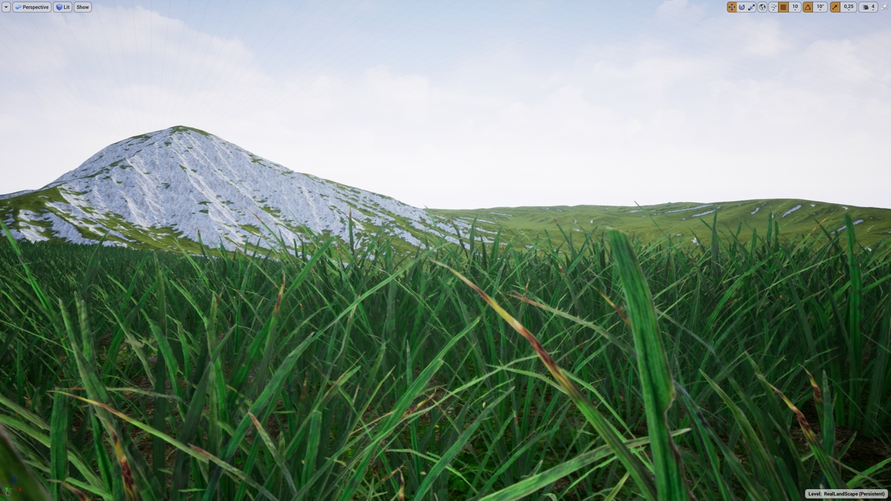 Media 1 for listing Real Landscape World Composition + Grass