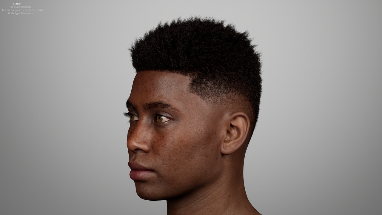 Media 1 for listing Short Coily High Top with High Skin Fade – MetaHuman Groom