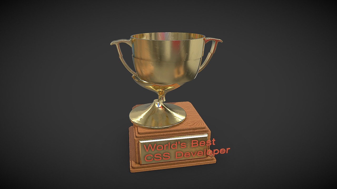 Media 1 for listing World's best CSS Developer prize.