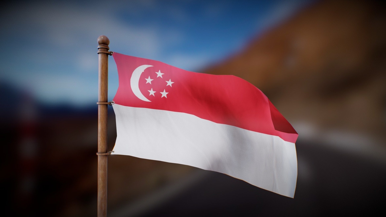 Media 1 for listing Flag of Singapore - Wind Animated loop