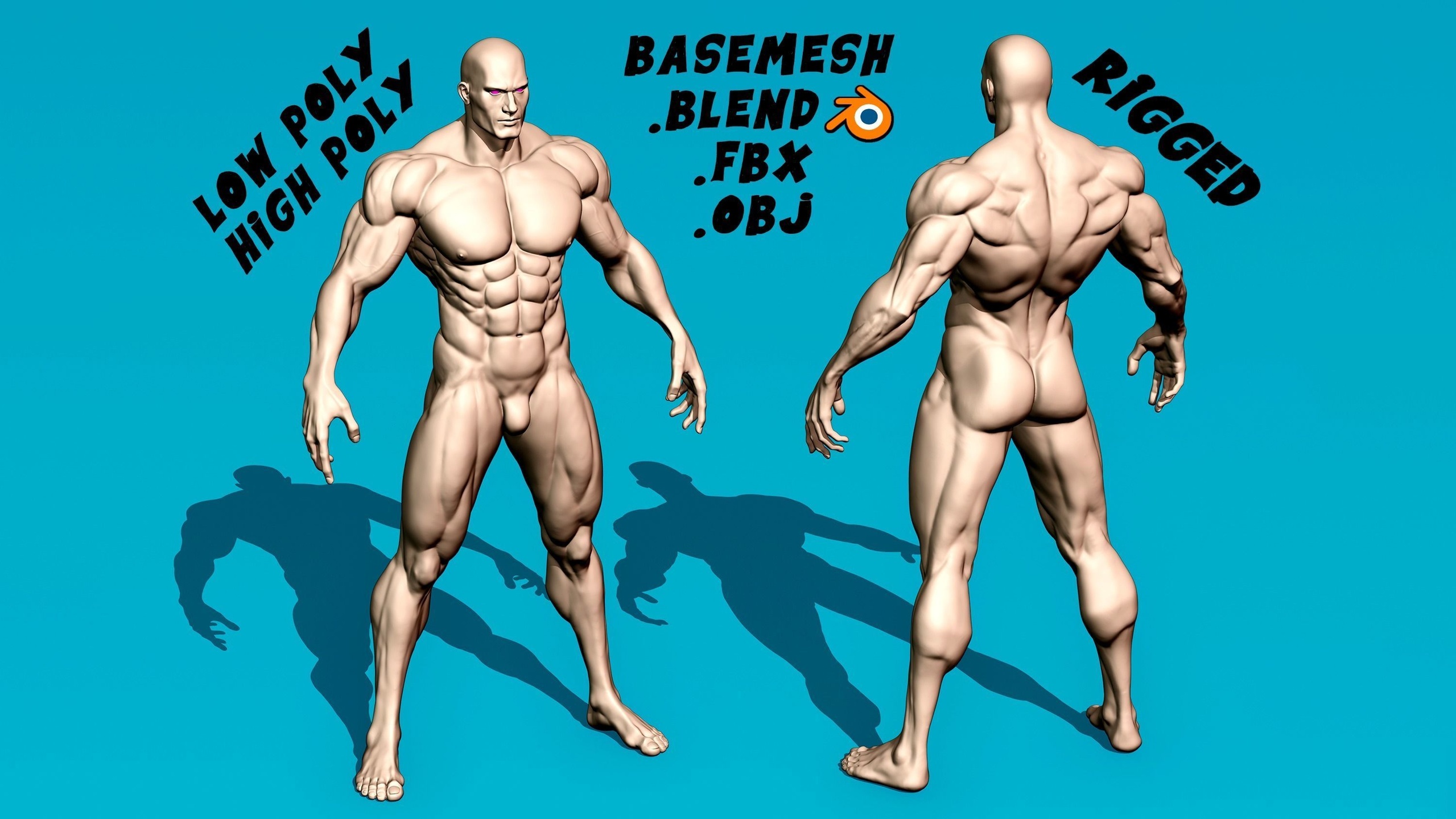 Media 1 for listing Muscular Basemeshes, low & high poly, rigged