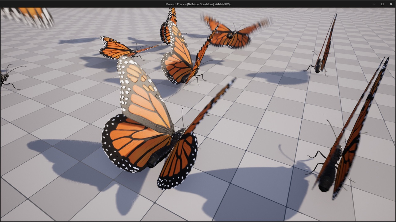 出品Monarch butterflyのメディア1