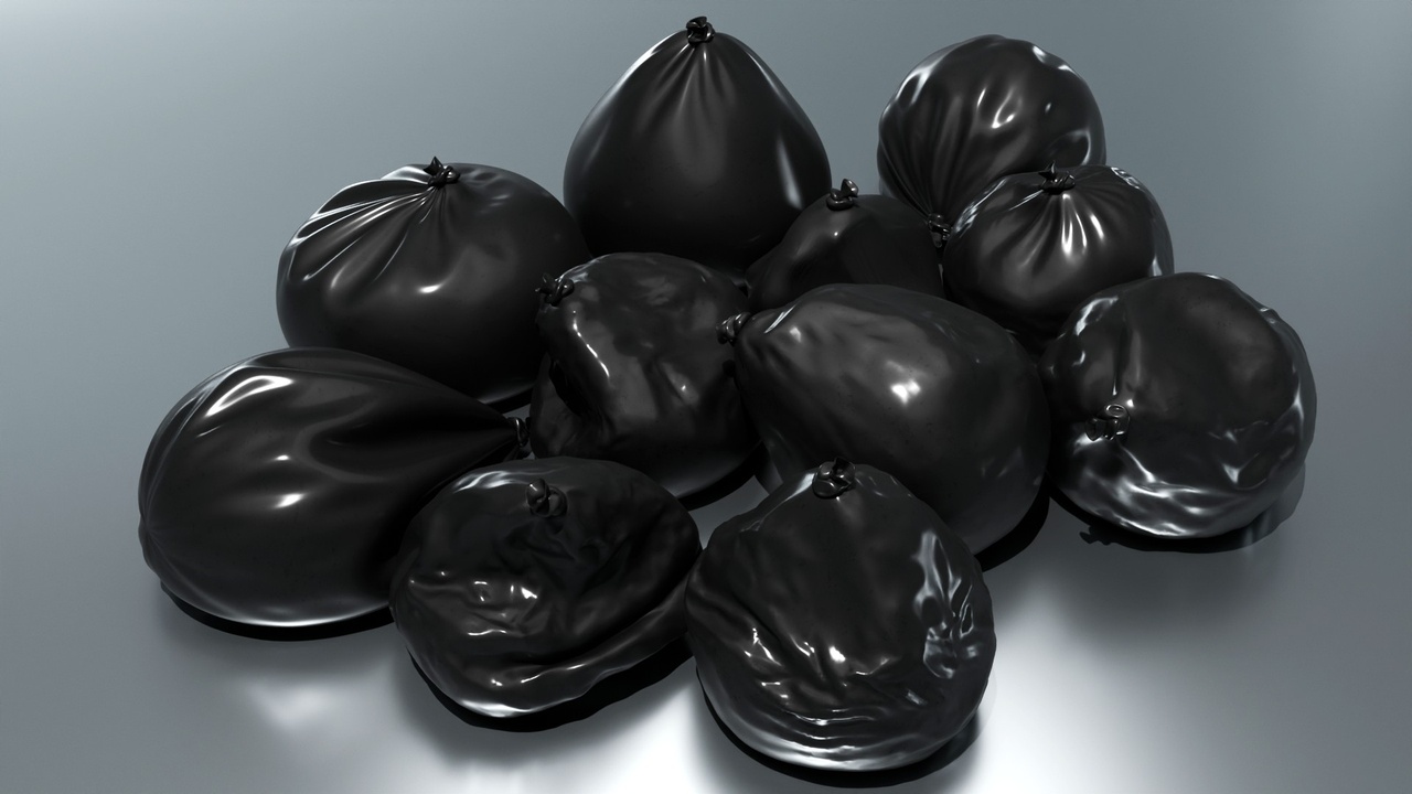 Media 1 for listing Trash Bags (11 Meshes)