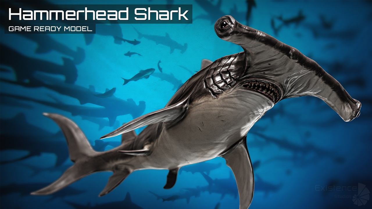 商品 Hammerhead Shark - Underwater Creature Monster - Enemy Fish System - #29 的媒体 1