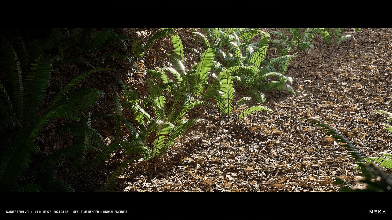 Media 1 for listing NANITE SWORD FERN